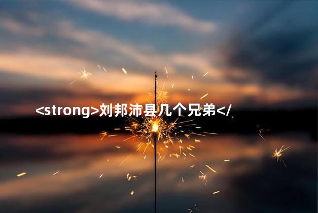 <strong>刘邦沛县几个兄弟</strong>